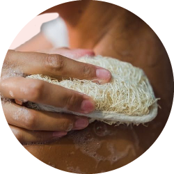 Bath Sponges and Loofahs