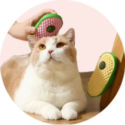 Cat Products