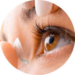 Contact Lenses