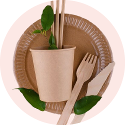 Disposable Cutlery