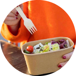 Disposable Tableware