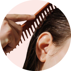 Lice Treatment
