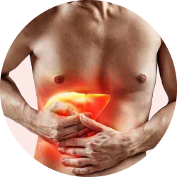 Liver Health Supplements