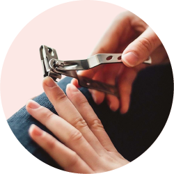 Nail Clipper