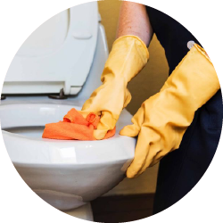 Toilet Cleaners