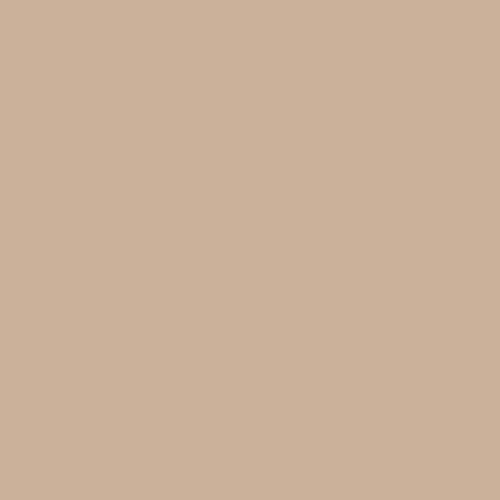 Pastel كريم أساس سائل باستيل بروفاشيون هاي كوريكتور عالي التغطية 402 - 2