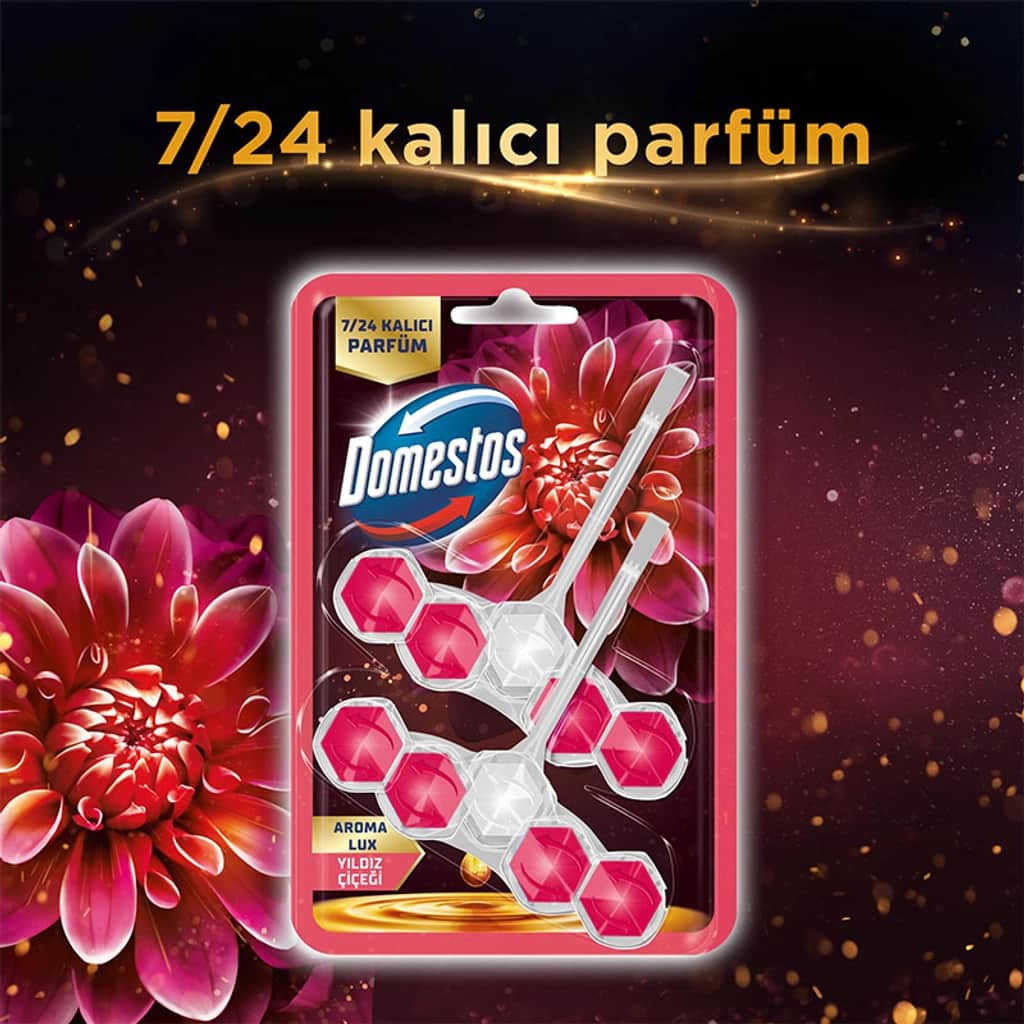 Domestos دومستوس منظف المرحاض أروما لوكس برائحة زهرة النجمة وفاكهة التنين 2 × 50 جرام - 3