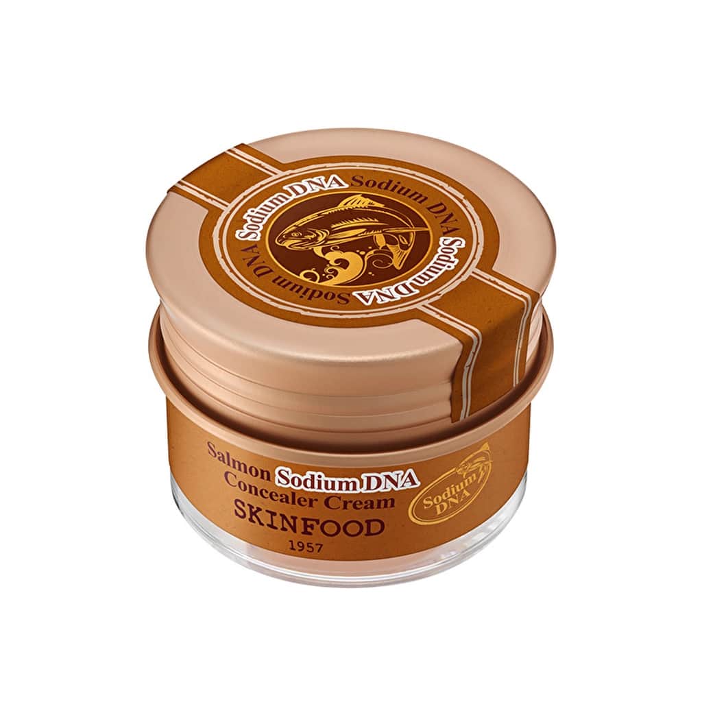 Skinfood سكين فود، كونسيلر حمض نووي سلمون صوديوم رقم 2، بيج - 3