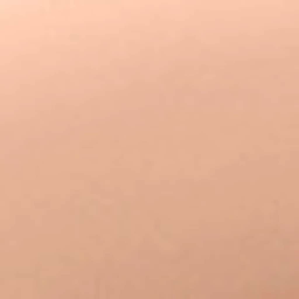 Wet n Wild مرطب ويت أند وايلد بير فوكس الملون ترطيب وتغطية - 5