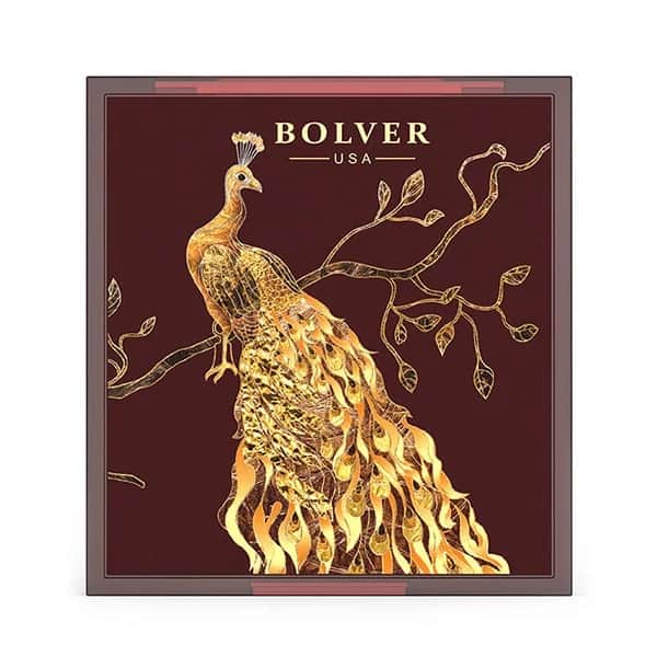 Bolver باليت ظلال العيون 9 الون درجة E09 -من بولفير - 3