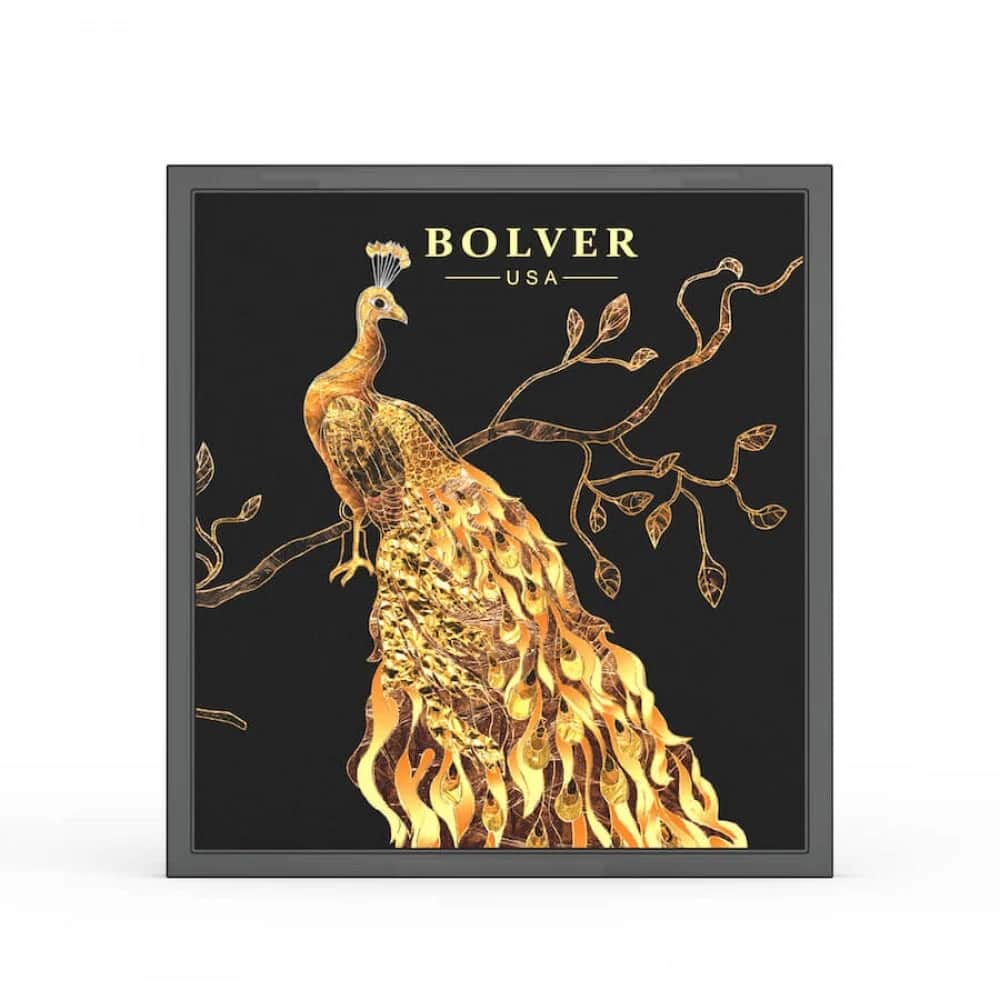 Bolver باليت ظلال العيون 9 الون درجة E04 -من بولفير - 4
