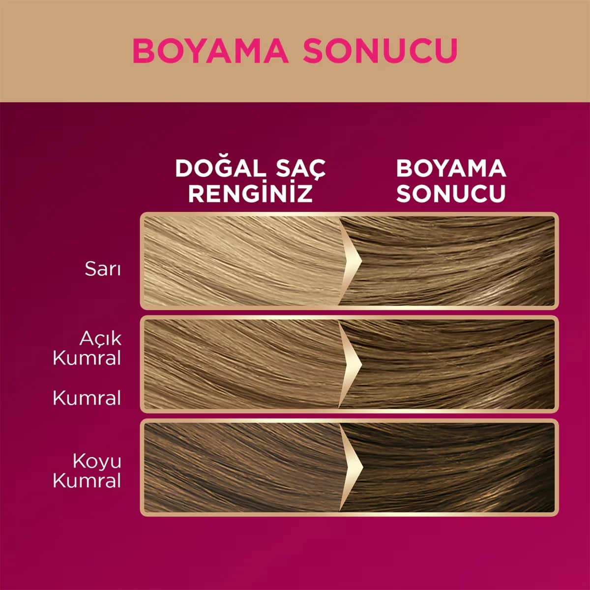 Palette صبغة شعر باليت ديلوكس أشقر رقم 7-0 50 مل