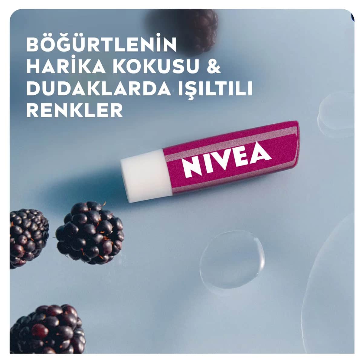 NIVEA أحمر شفاه نيفيا بلاك بيري 4.8 غرام