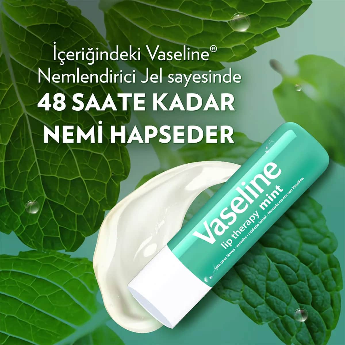 Vaseline أحمر شفاه فازلين بتأثير النعناع 4.8 جرام