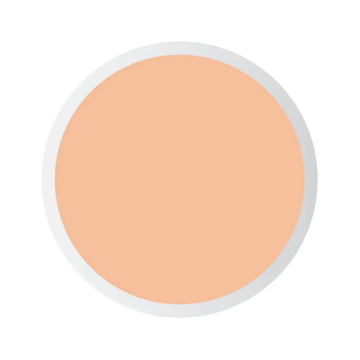 Pastel خافي العيوب السائل باستيل بروفاشيون 103 خوخي