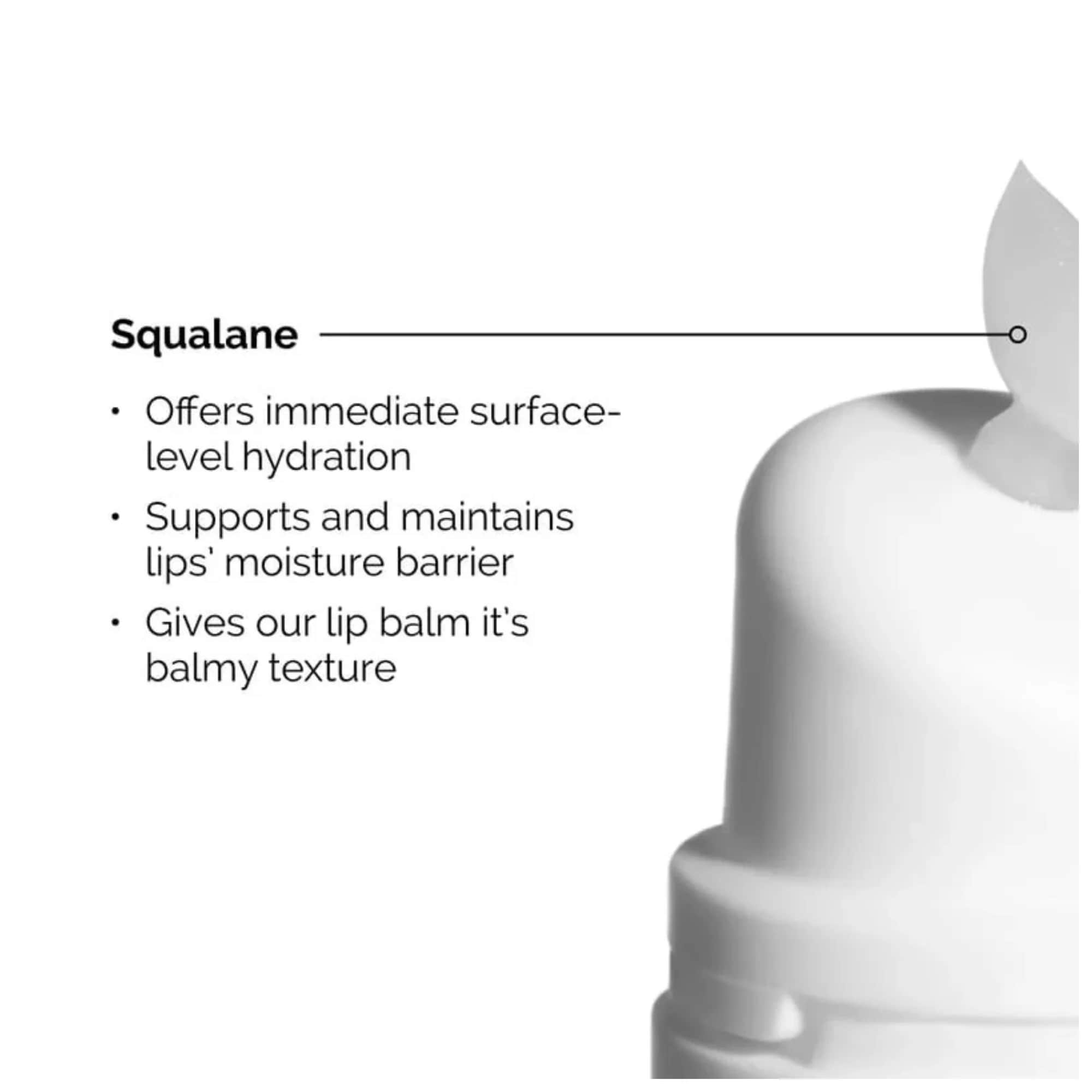 The Ordinary Aminosäuren und Squalan Lippenbalsam - 15 ml von The Ordinary
