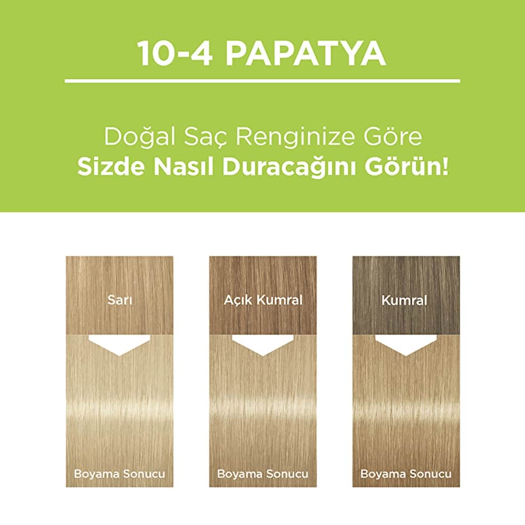 Palette Permanent Natural Colors Hair Dye 10-4 daisy - 6
