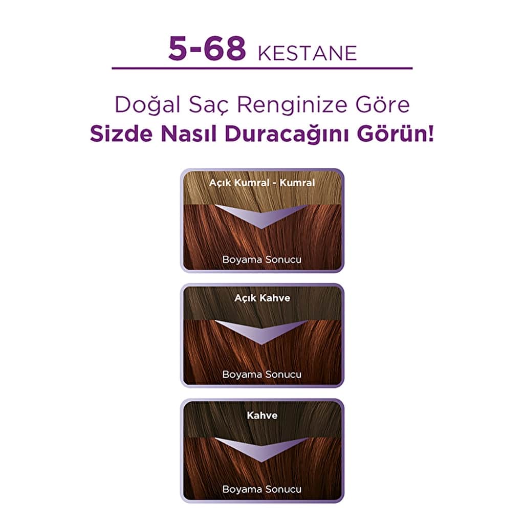 Palette Eye-catching Colors Hair Dye 5-68 chestnut - 3