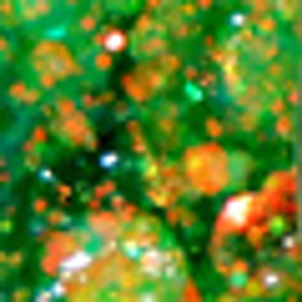 Mov Glitter Festival No: 05 Paris Parch - 2