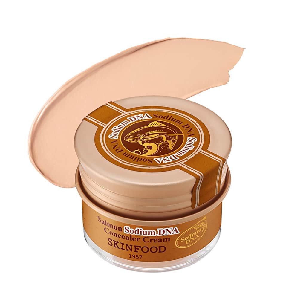 Skinfood Salmon Sodium Dna Concealer No.1 vanilla - 1