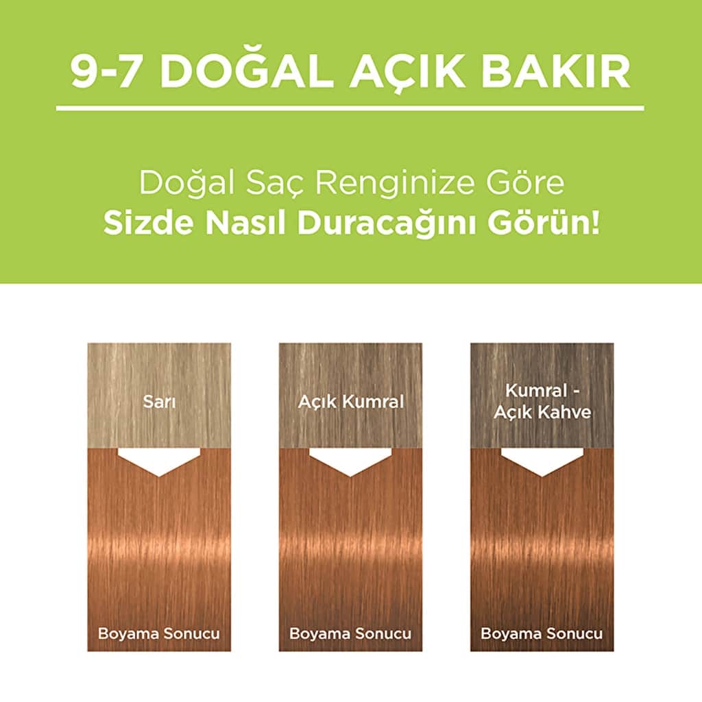 Palette Permanent Natural Colors Hair Dye 9-7 natural Light Copper - 6