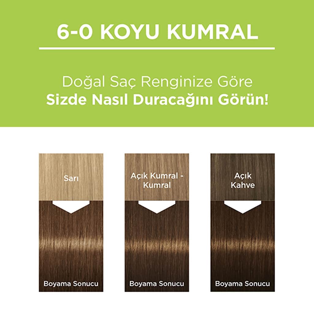 Palette Permanent Natural Colors Hair Dye 6-0 dark Blonde - 6