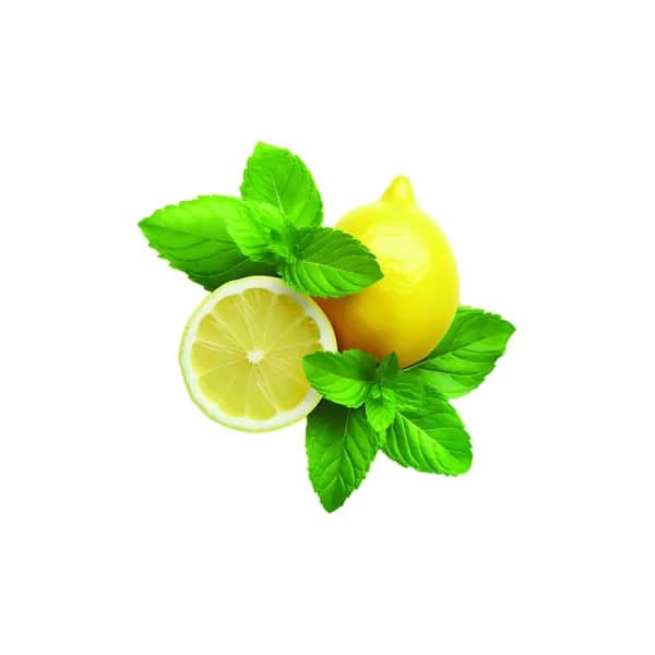 Shot Mouth Wash Lemon Mint - Instant Freshness - 4