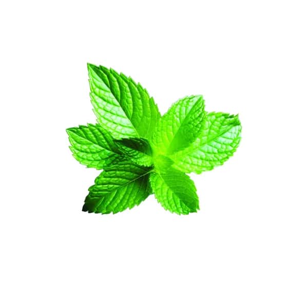 Shot Mouth Wash Mint Capsules - Instant Freshness On-the-Go - 2