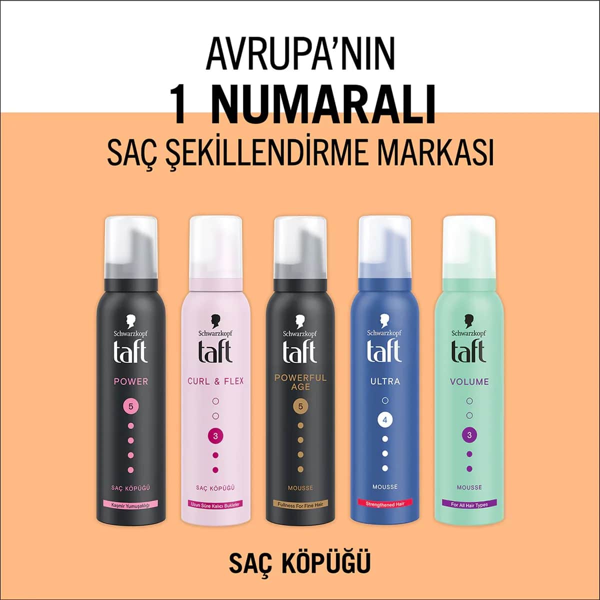 Taft Powerful Age Hair Mousse 150 ml