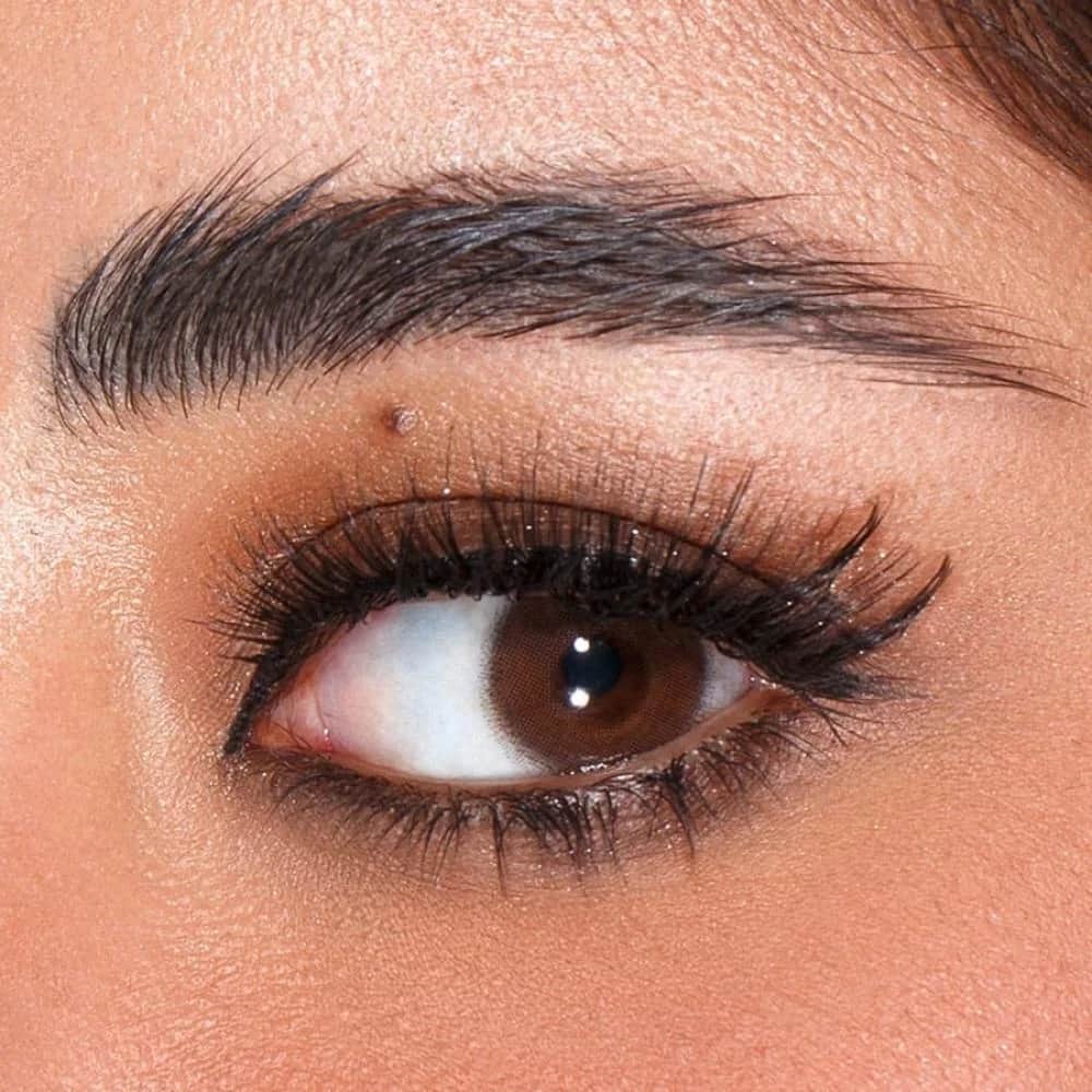 Amara Colored Contact Lenses - Classic Brown