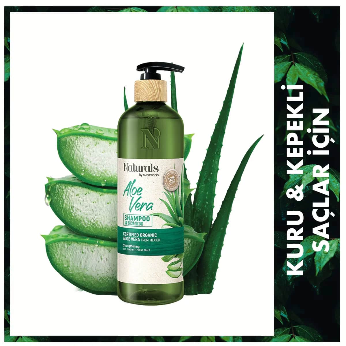 Шампунь с алоэ вера 490 мл от Naturals By Watsons