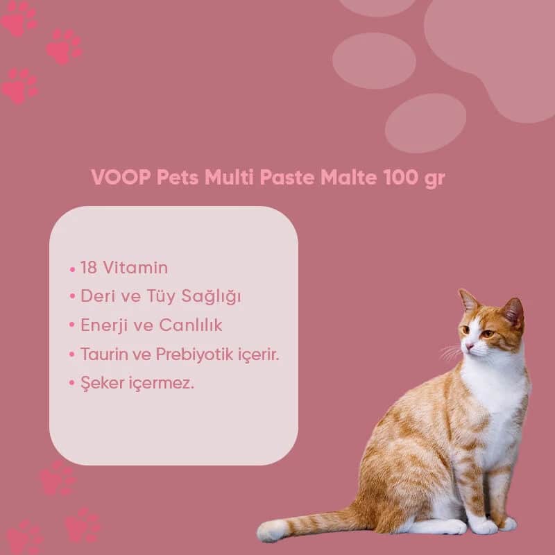 Паста для поддержки иммунной системы кошек Voop 100 г