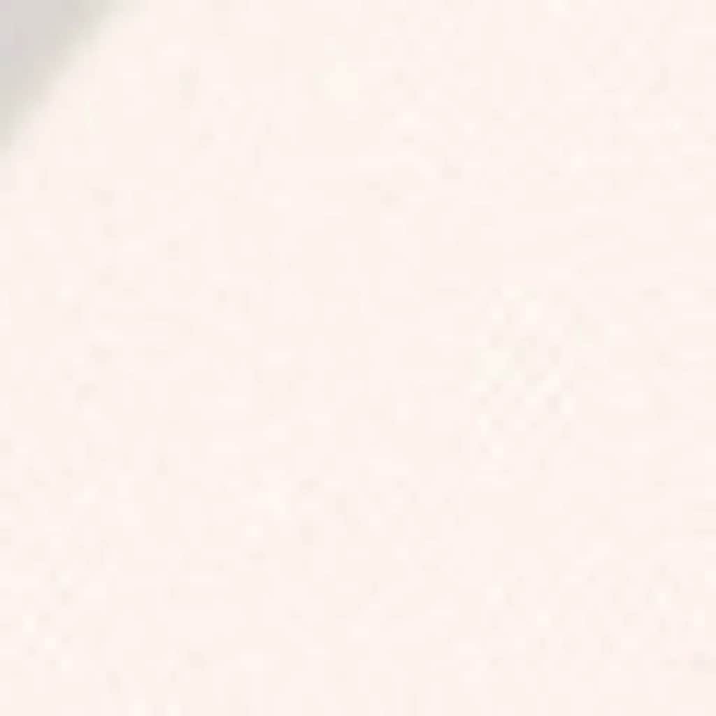 Пудра для фиксации Pastel Profashion Beauty Filter Final Touch 00