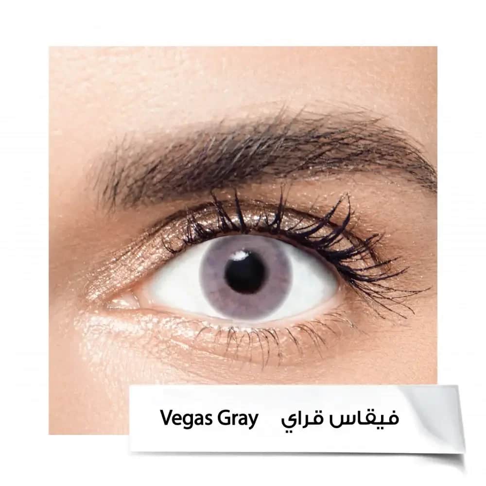 Контактные линзы на 6 месяцев VEGAS GRAY от Anastasia