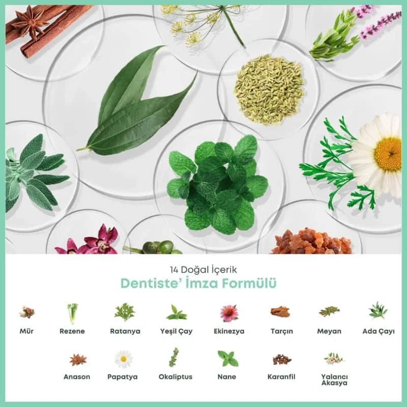 Зубная паста Dentiste Natural 100 г