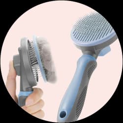 Cat and Dog Brushes