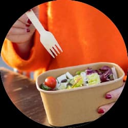 Disposable Tableware
