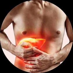 Liver Health Supplements