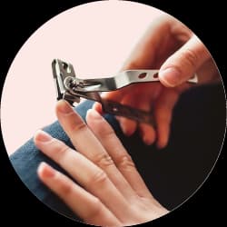 Nagelknipser