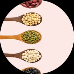 Organic and Healthy Food