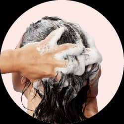 افضل شامبو للشعر