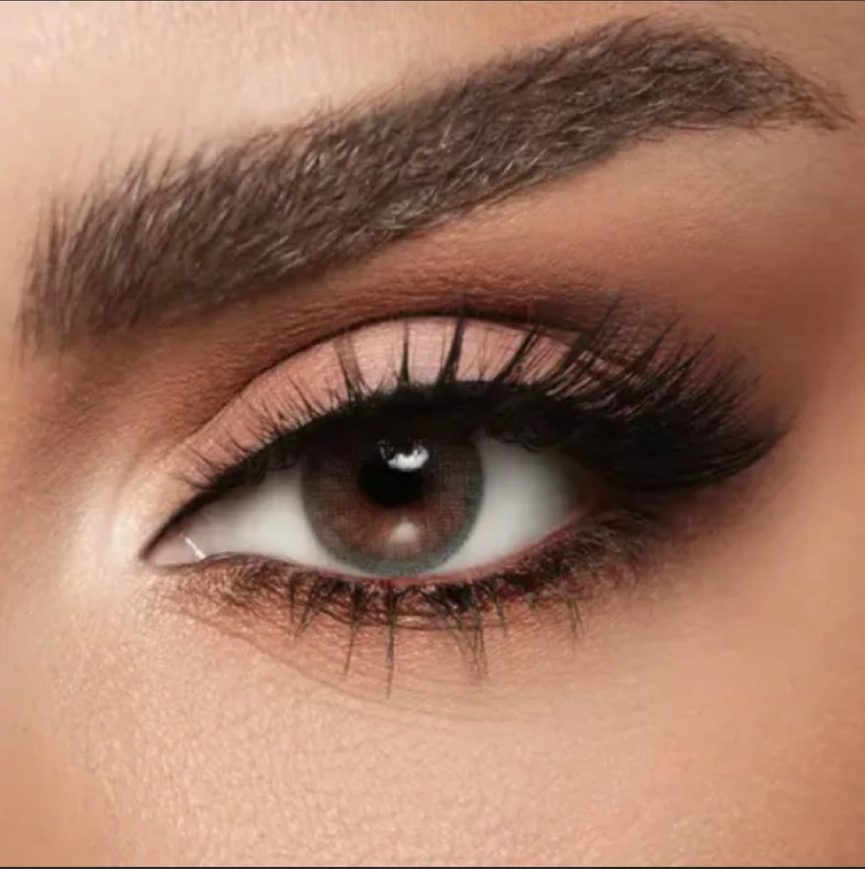 Diva عدسات ديفا ستيل Steel