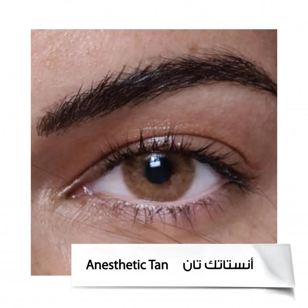عدسات انستازيا 6 اشهر  A.TAN