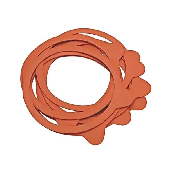 خواتم غطاء برطمان مطاطية 10 قطع من فلينك اند ساوبر Flink & Sauber