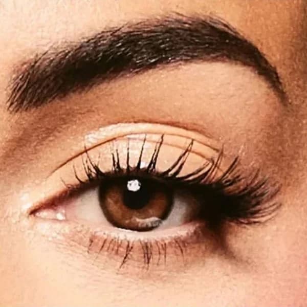 Amara عدسات لاصقة ملونه من امارا-والنت