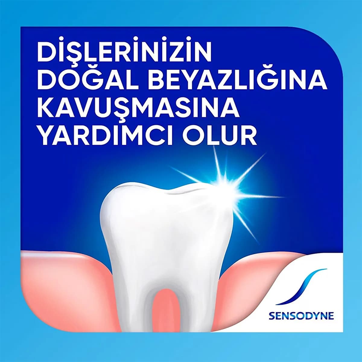 Sensodyne معجون أسنان سنسوداين إف بالفلورايد 100 مل