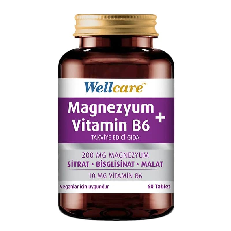 Wellcare Magnesium Vitamin B6 60 tablets