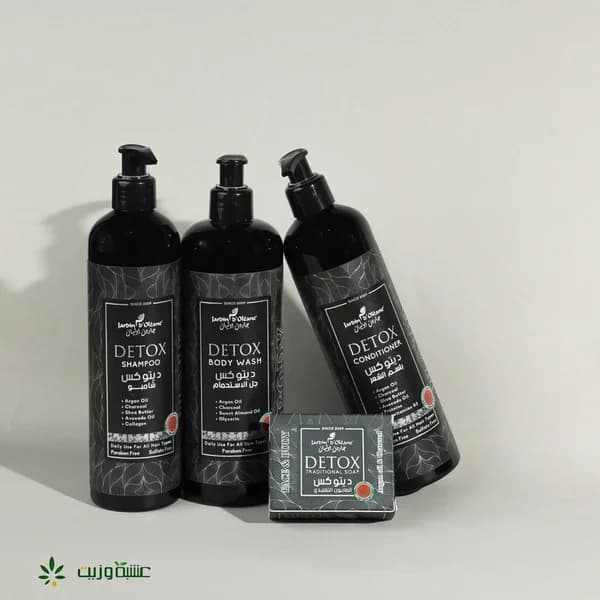 Garden Olian Detox Box Angebot - 4 Produkte
