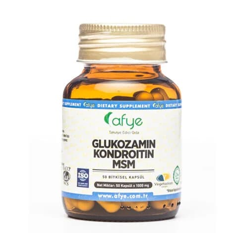 Afye Glucosamin Chondroitin MSM 1000mg