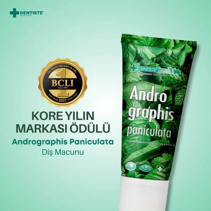 Dentiste Andrographis Paniculata Kräuterzahnpasta 40g